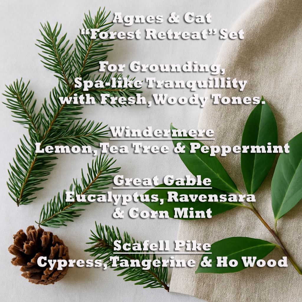 Agnes & Cat - Forest Retreat Set Of 3 Essential Oil Blends