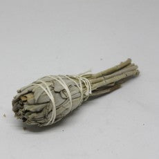 White Sage Smudge Stick (4" Torch)