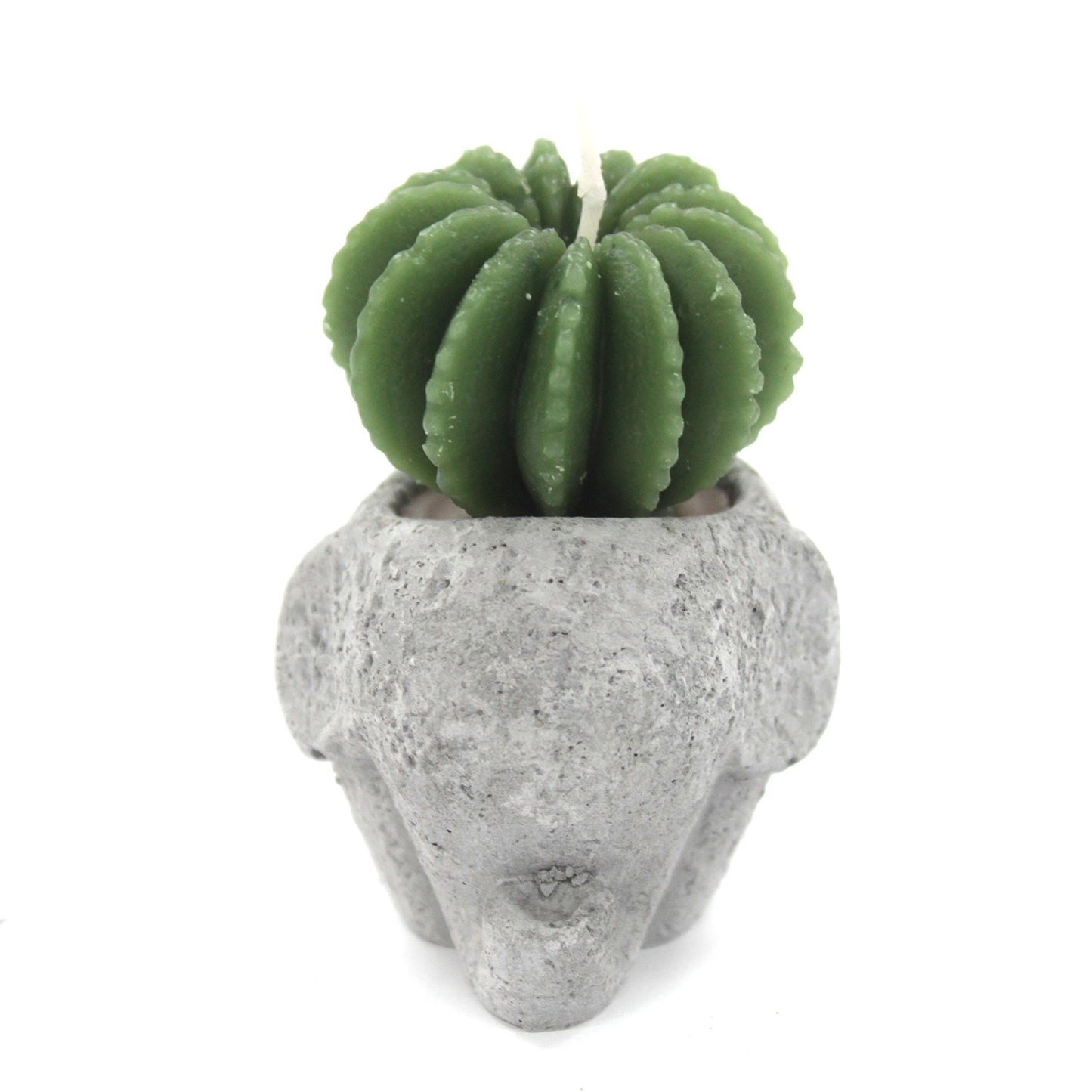 Cactus Candles - Animal Pot (asst) Display