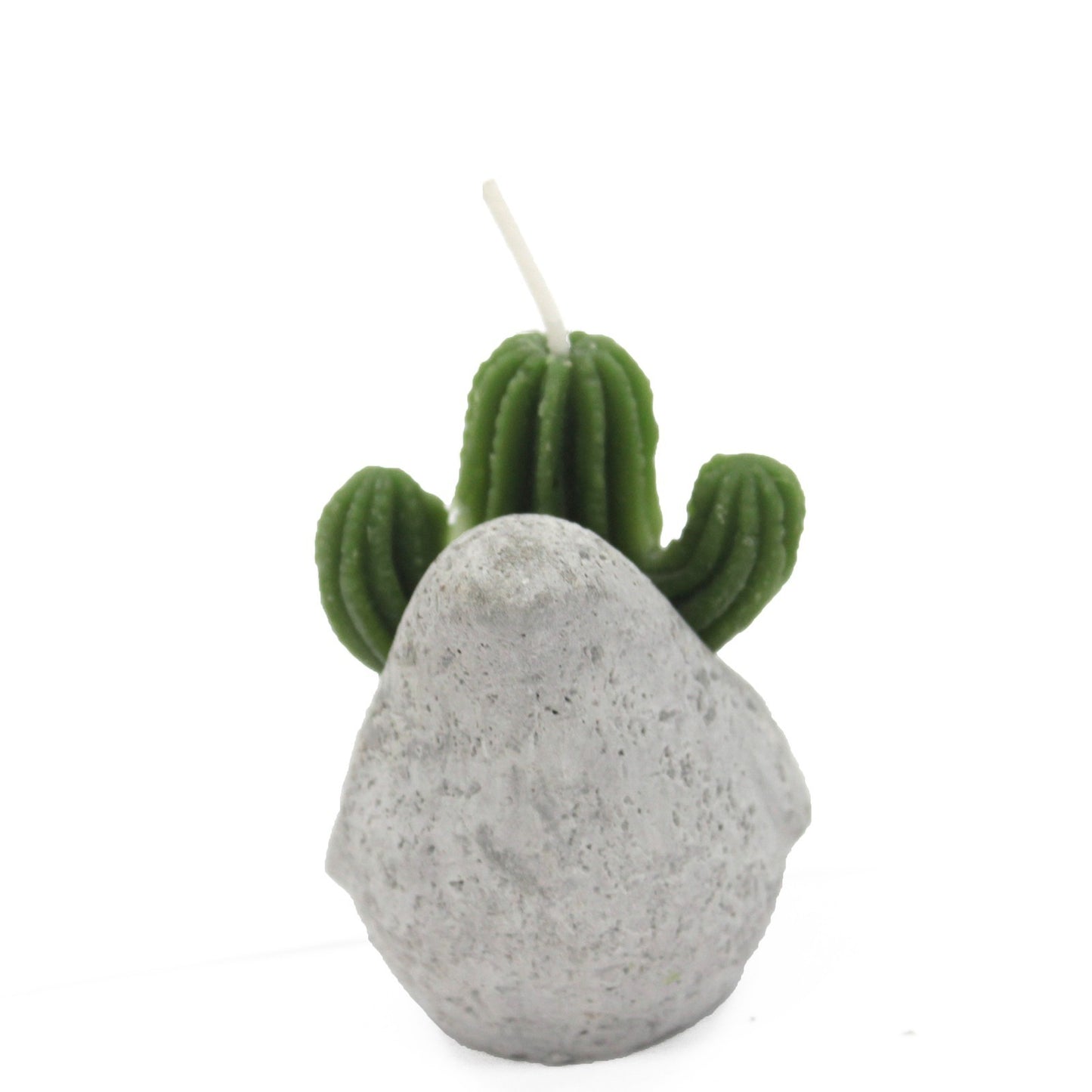 Cactus Candles - Animal Pot (asst) Display