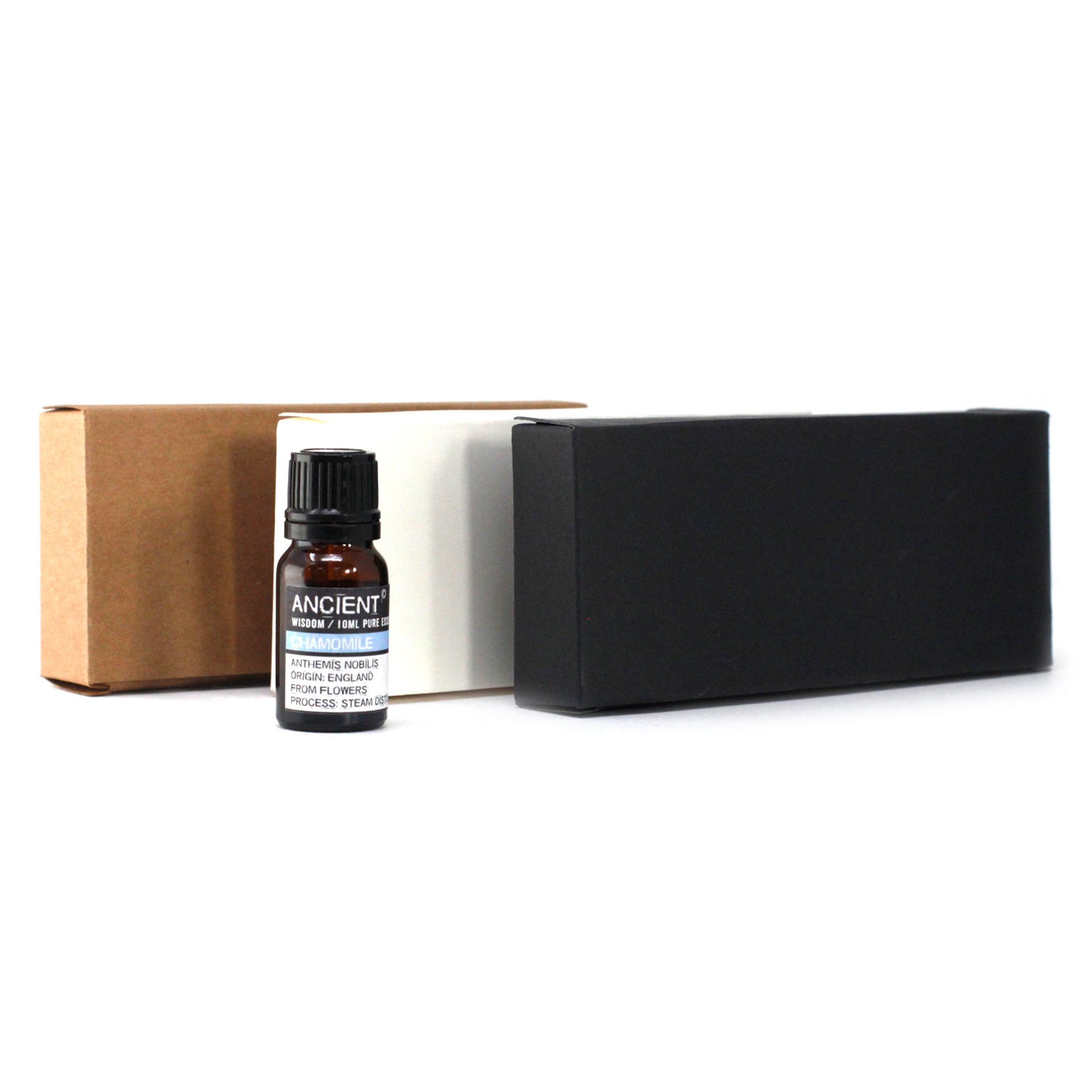 Box for 6 10ml Essential Oil Bottles - Black