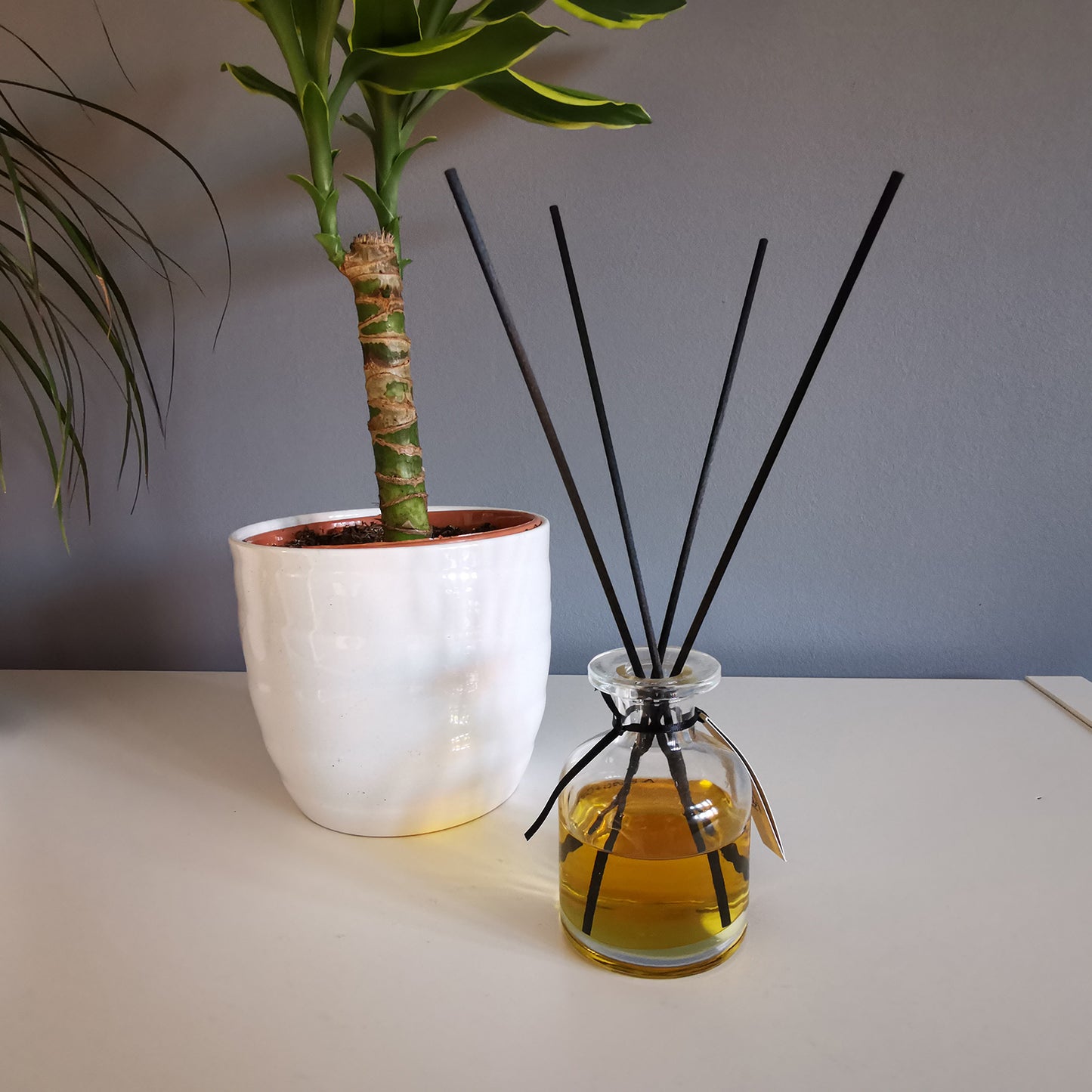 5kg of 2.5mm Reed Diffusers (approx 5000)