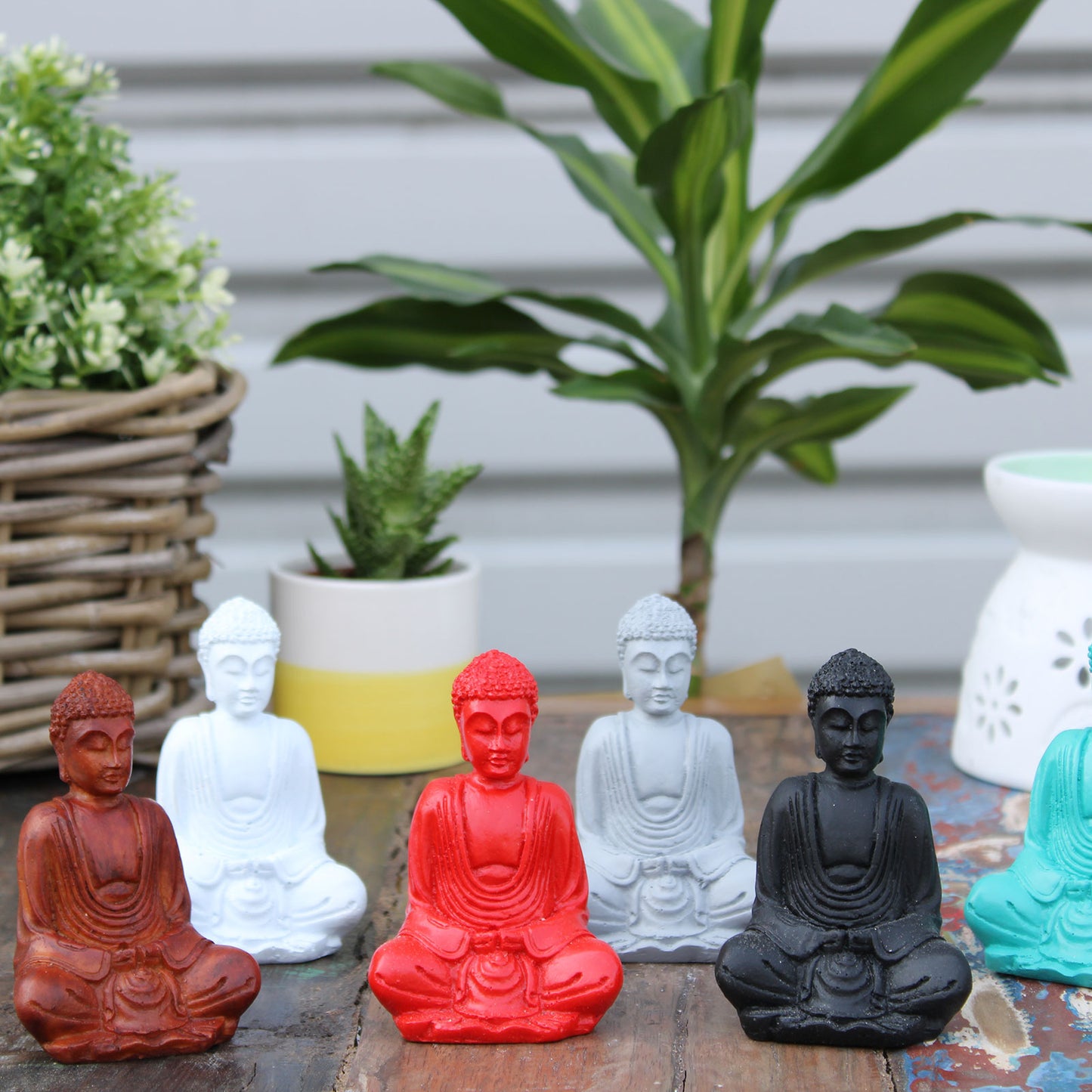 Matt Mini Buddha - 6 Pack (Assorted Colours)