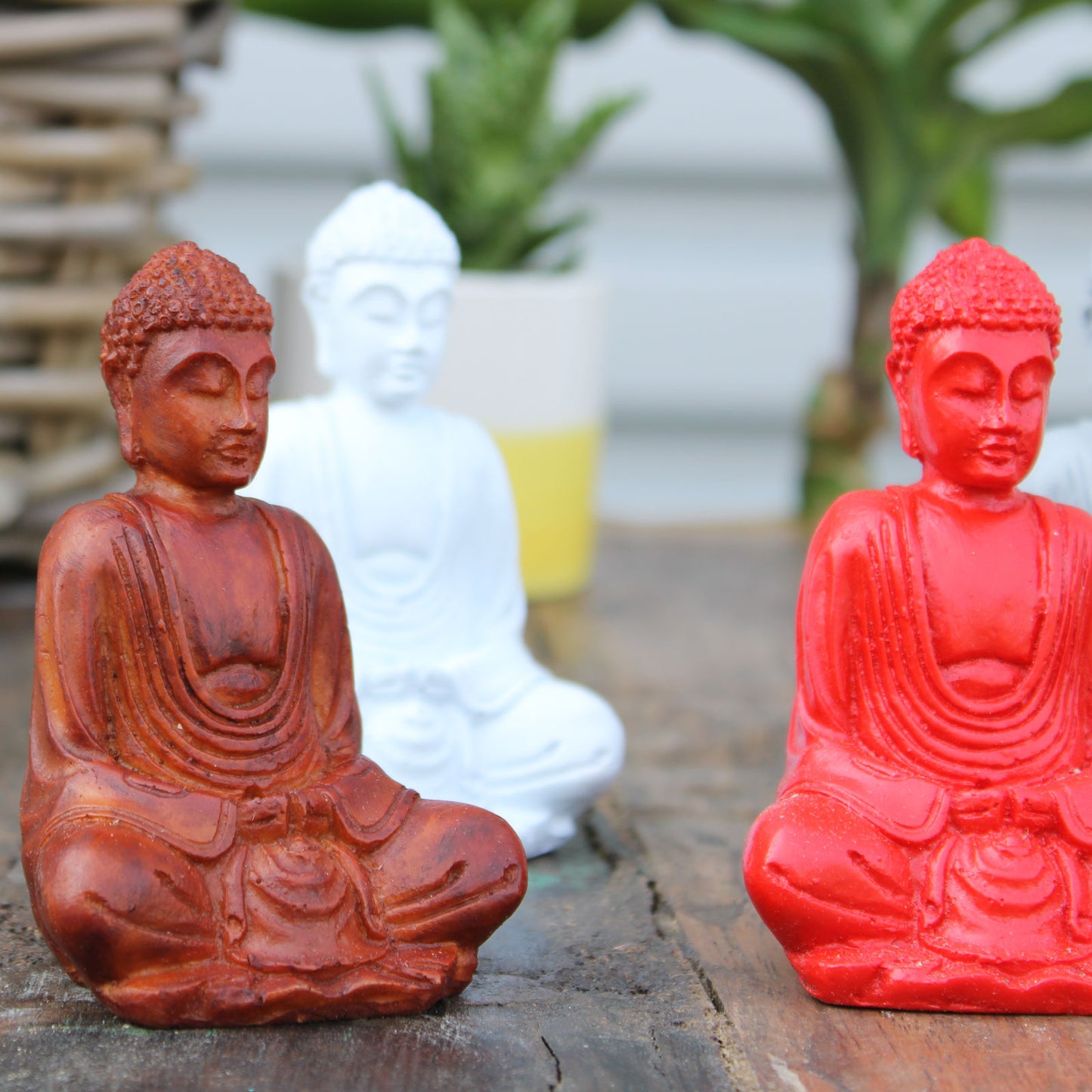 Matt Mini Buddha - 6 Pack (Assorted Colours)