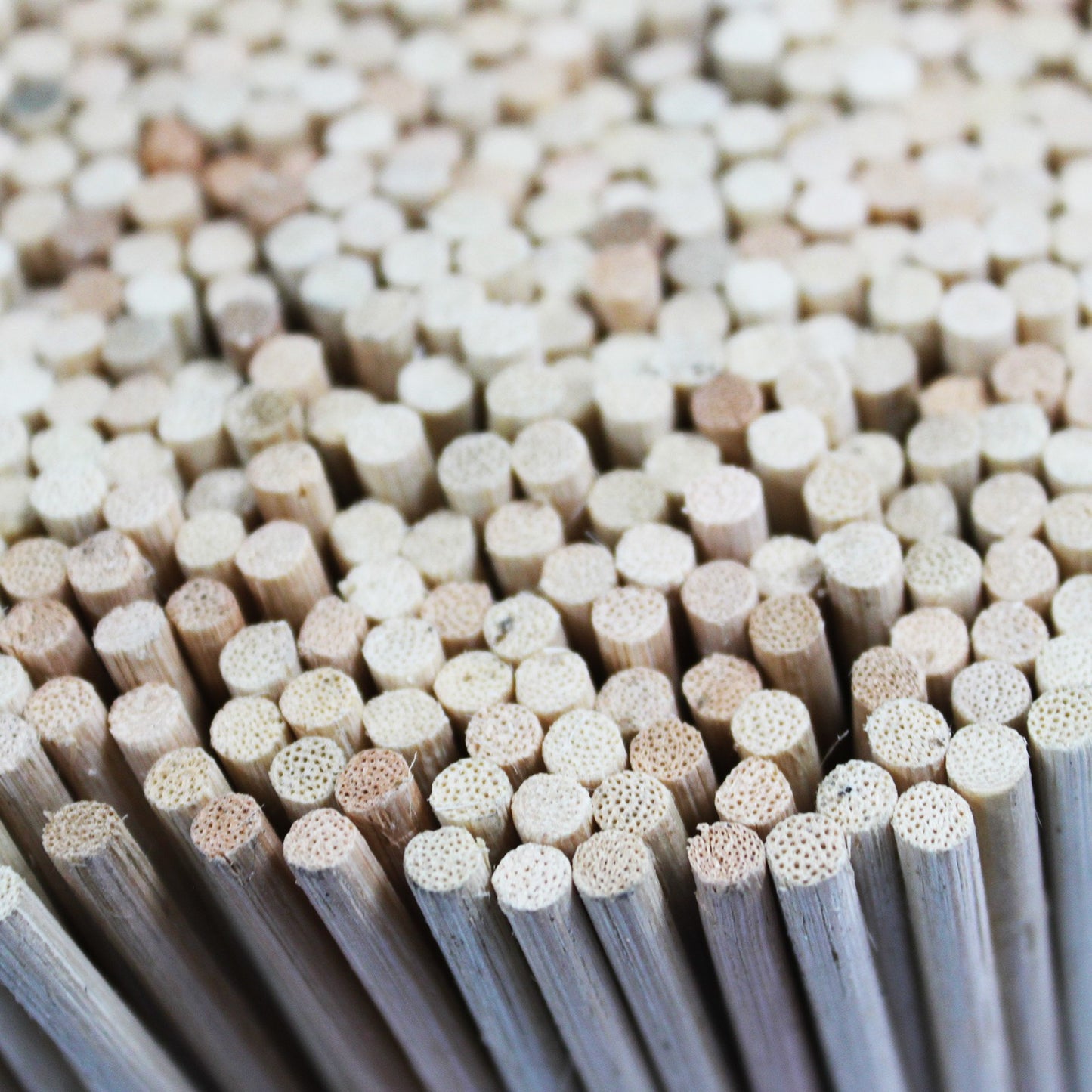 5kg of 3mm Reed Diffusers (approx 3600)