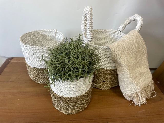 Seagrass Basket Set of 3 - Natural White