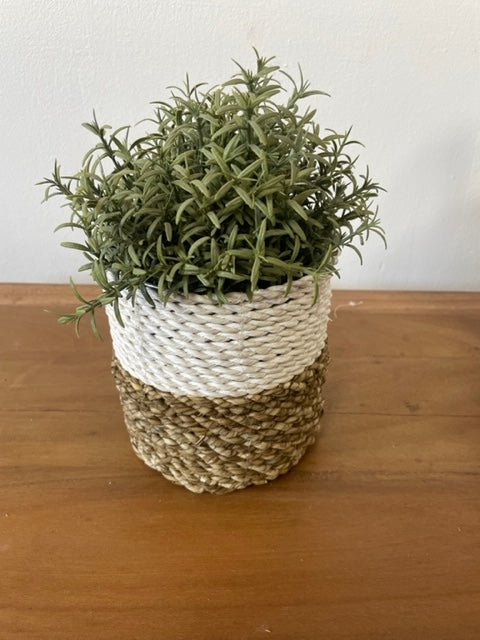 Seagrass Basket Set of 3 - Natural White