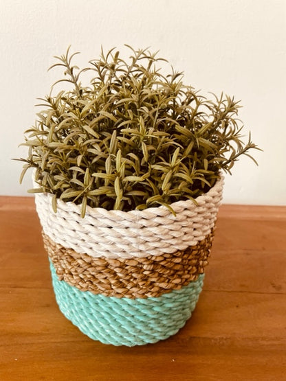 Seagrass Basket Set of 3 - Green / Natural / White