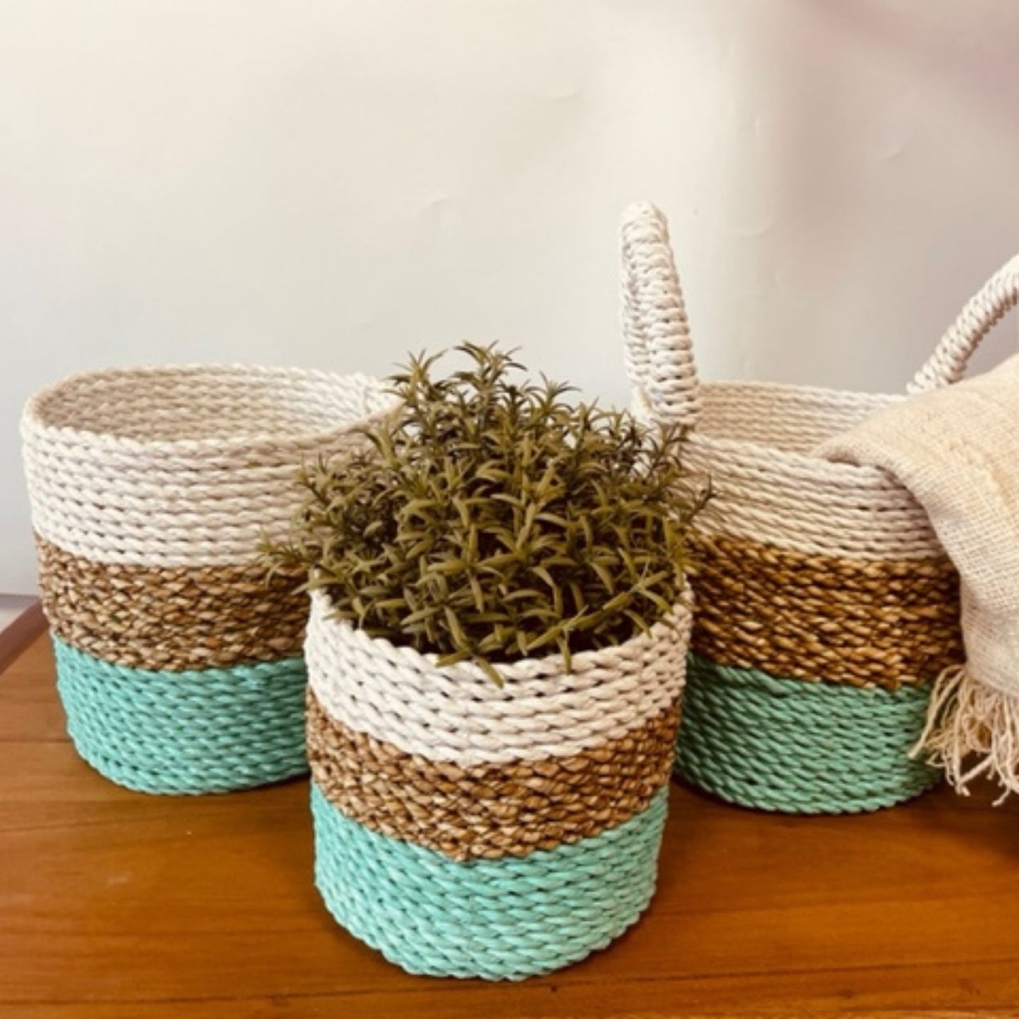 Seagrass Basket Set of 3 - Green / Natural / White