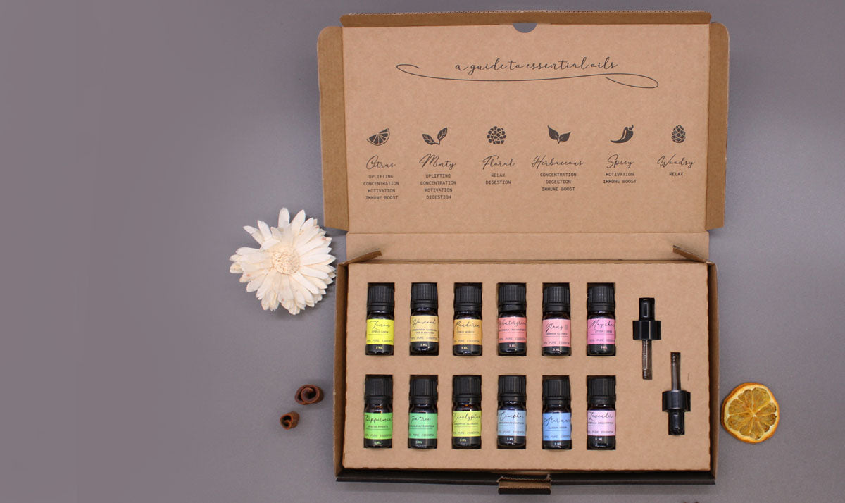 Aromatherapy Essential Oil Set - Starter Pack