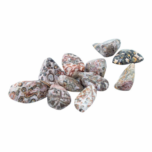 Pack of 24 Tumble Stone - Leopard Skin Jasper M