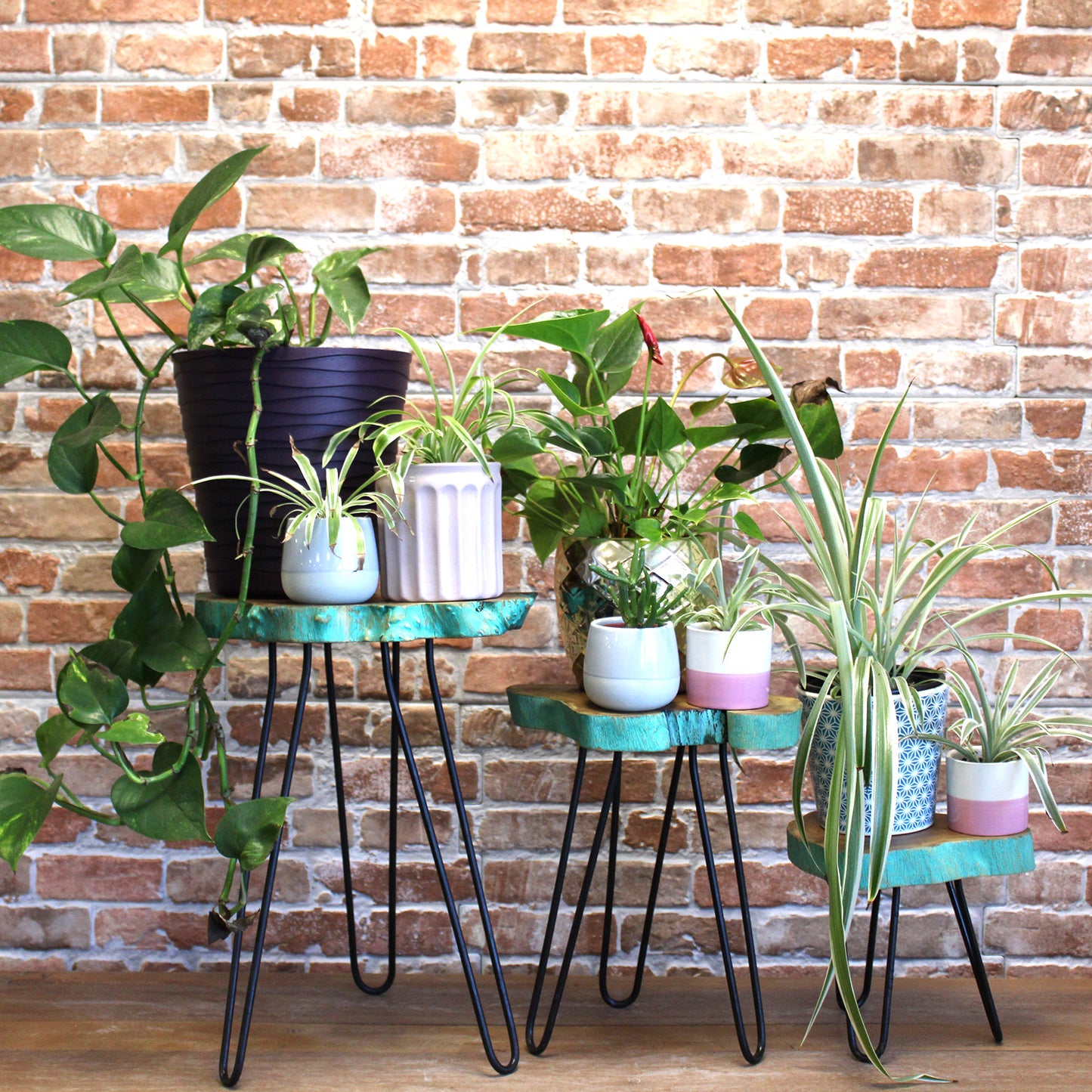 Set of 3 Gamell Wood Side-Tables / Plant Stands - Greenwash