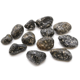 Bag of 12 Medium African Tumble Stones - Guinea Fowl Jasper Bag of 12 Medium