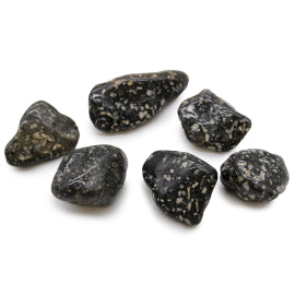 Bag of 6 Large African Tumble Stones - Guinea Fowl Jasper Bag of 6 Large