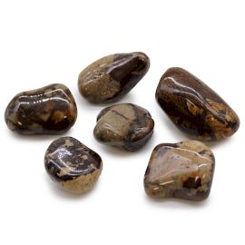 Bag of 6 Large African Tumble Stones - Nguni Jasper