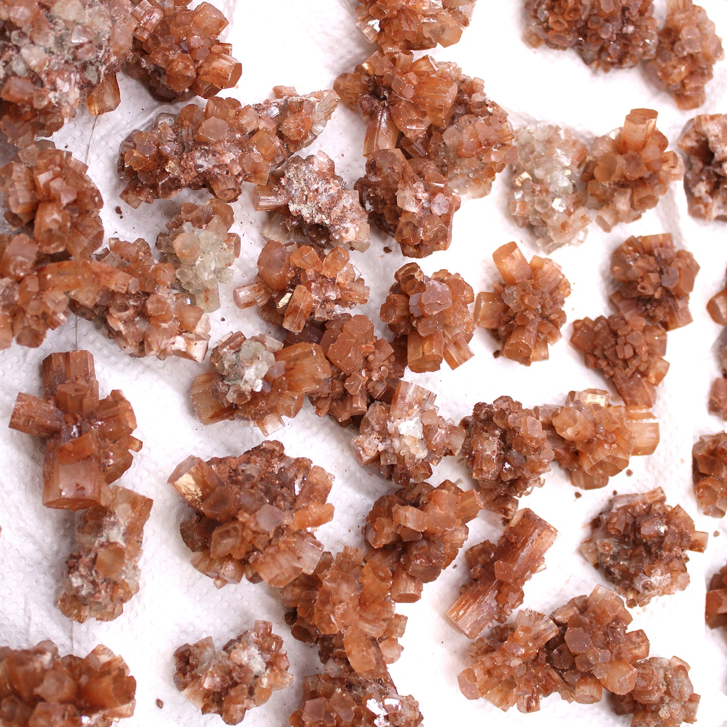 Mineral Specimens - Aragonite (approx 20 pieces)