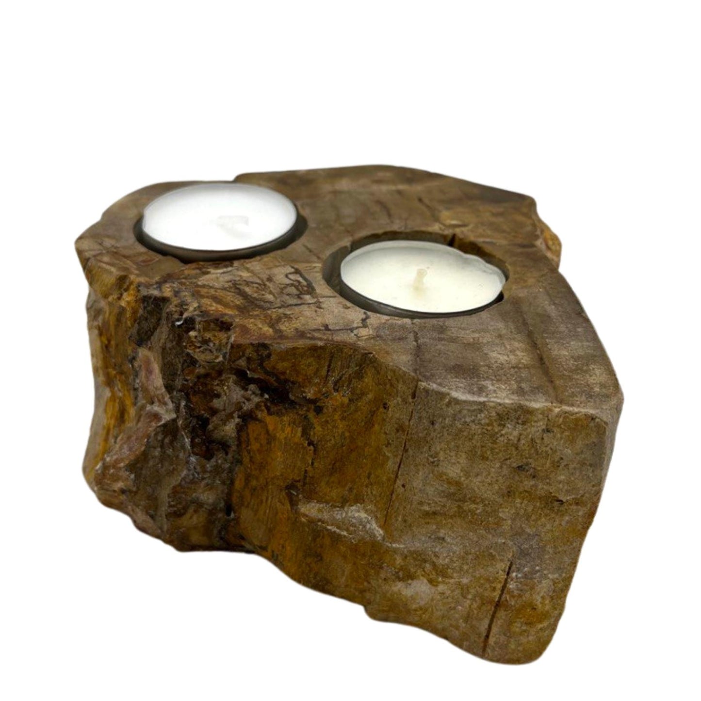 Petrified Wood Candle Holder - Double