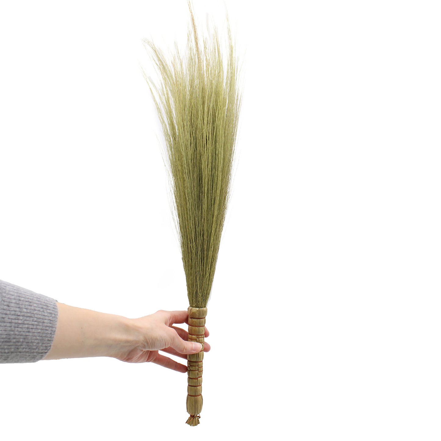 Set 4 - Pampas Broom - Natural