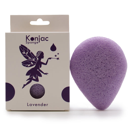 Teardrop Konjac Sponge - Lavender - Calming