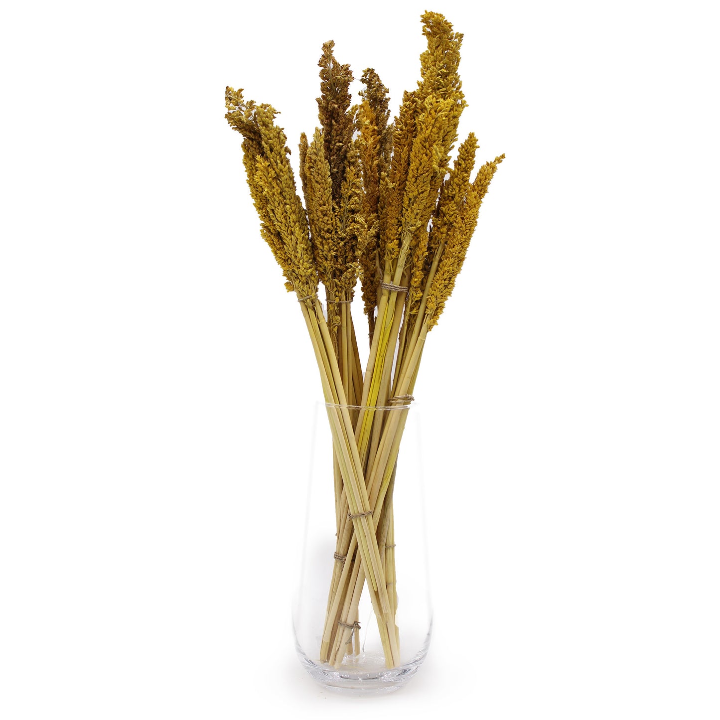 Cantal Grass Bunch - Amber