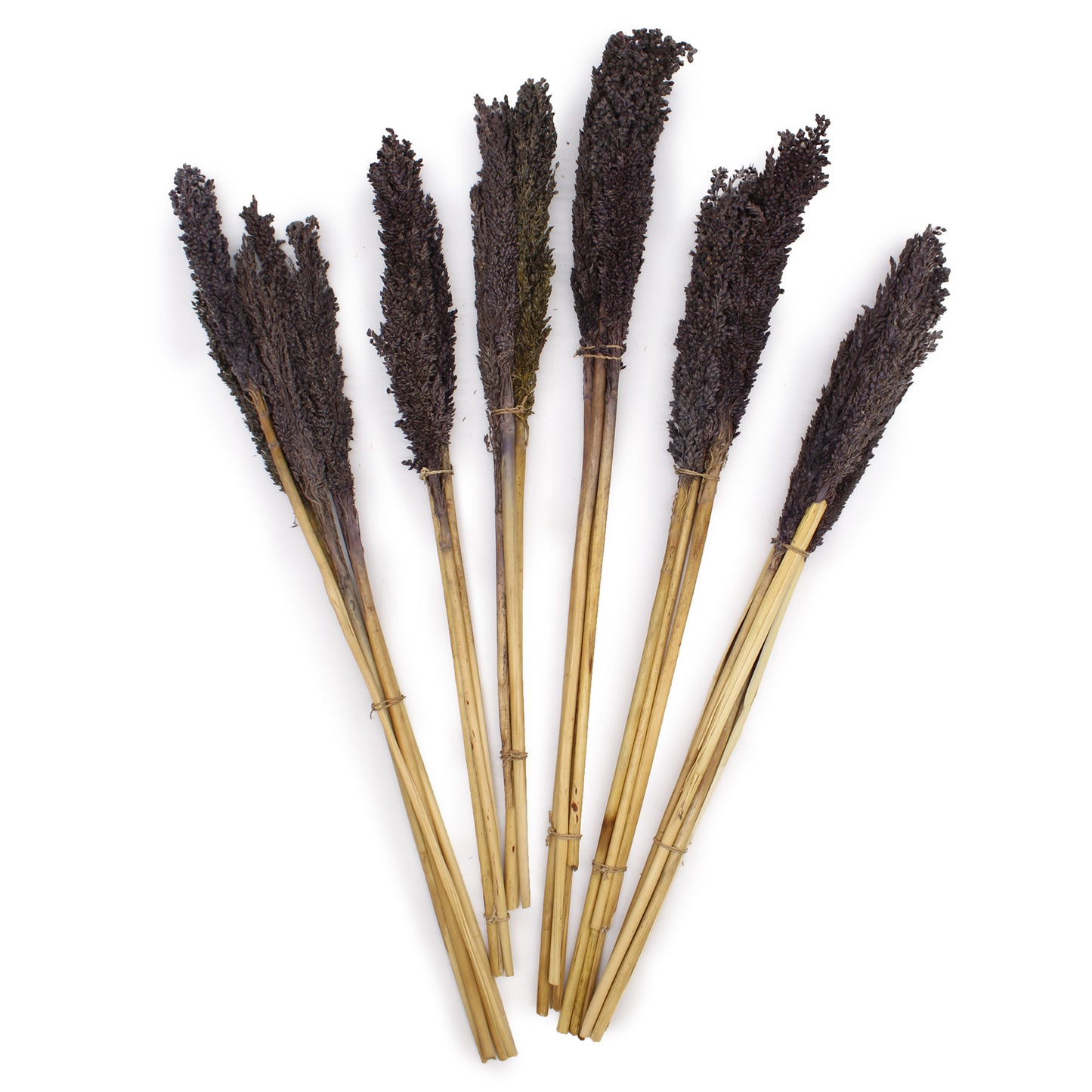 Cantal Grass Bunch - Black