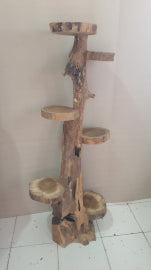 Natural Teak 6 Shelf Display 120cm high