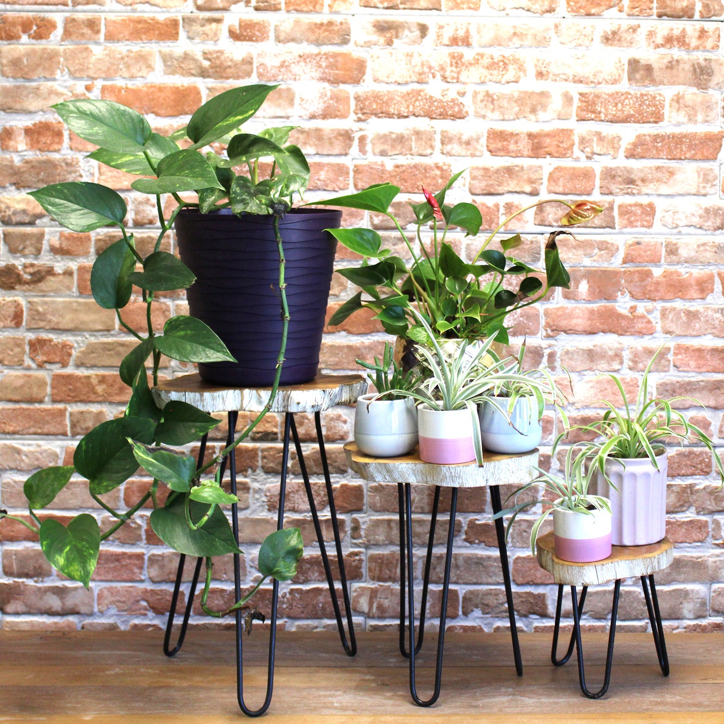 Set of 3 Gamell Wood Side-Tables / Plant Stands - Whitewash