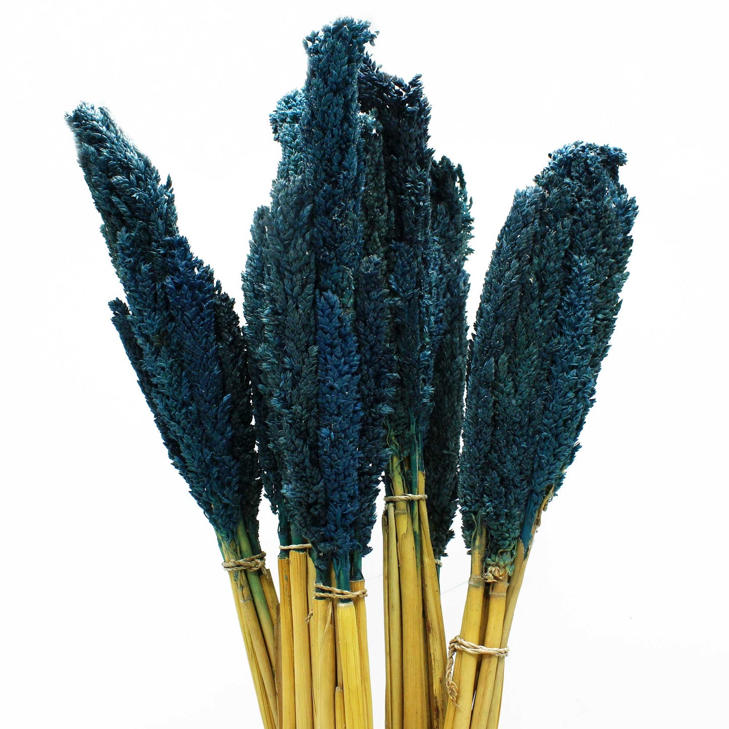 Cantal Grass Bunch - Blue