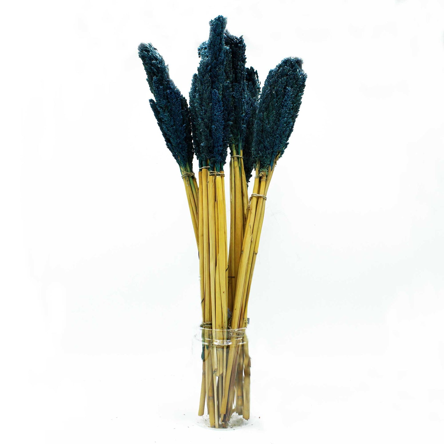 Cantal Grass Bunch - Blue