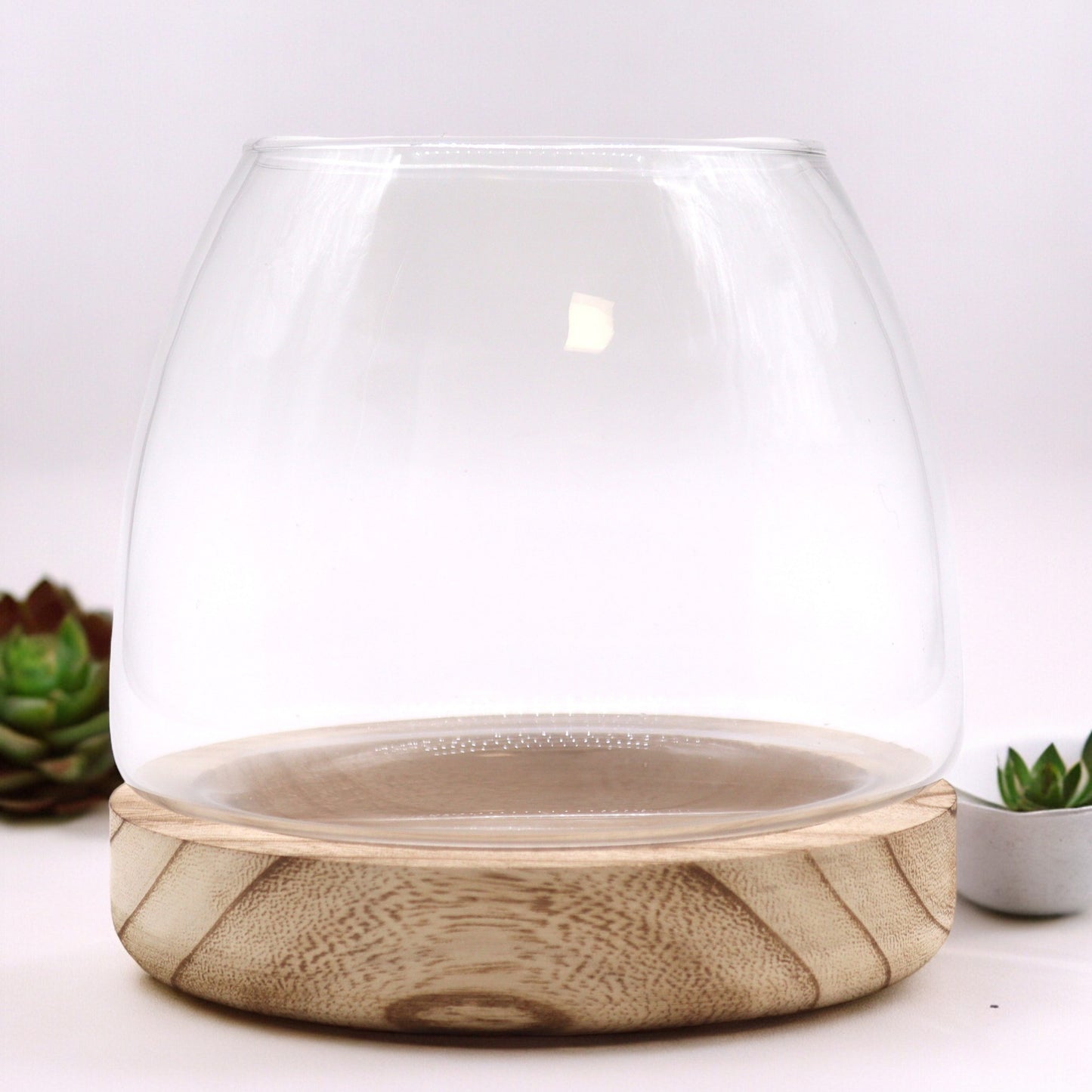 Medium Terarium on Natural Tung Wood - 15x15cm