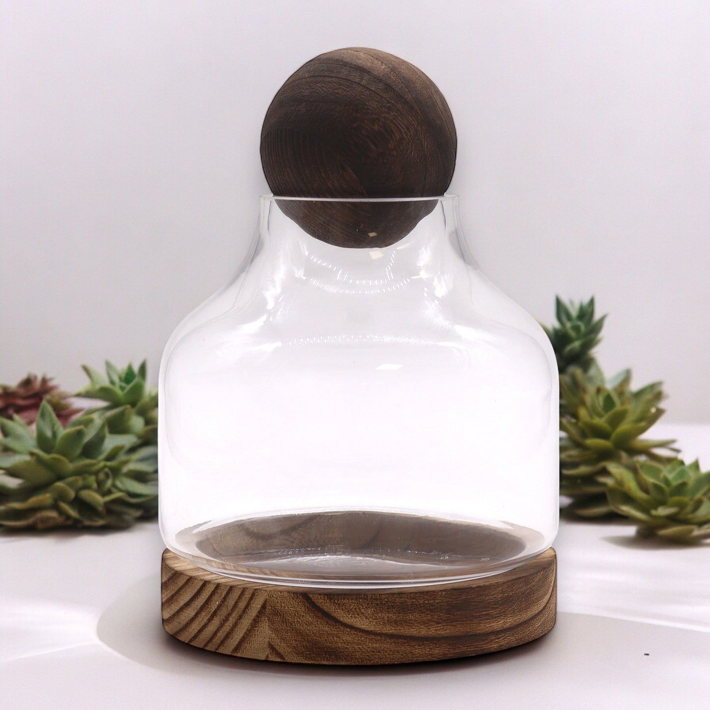 Medium Ball Top Terarium on Dark Tung Wood - 17x22cm