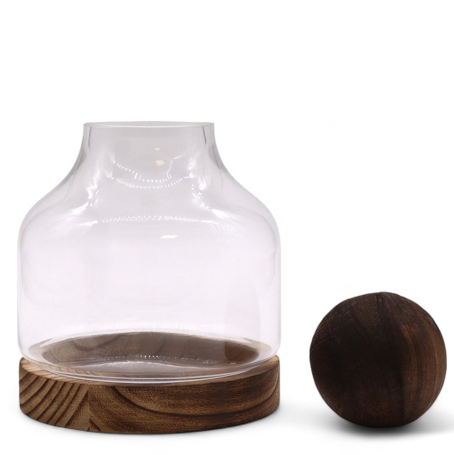 Medium Ball Top Terarium on Dark Tung Wood - 17x22cm