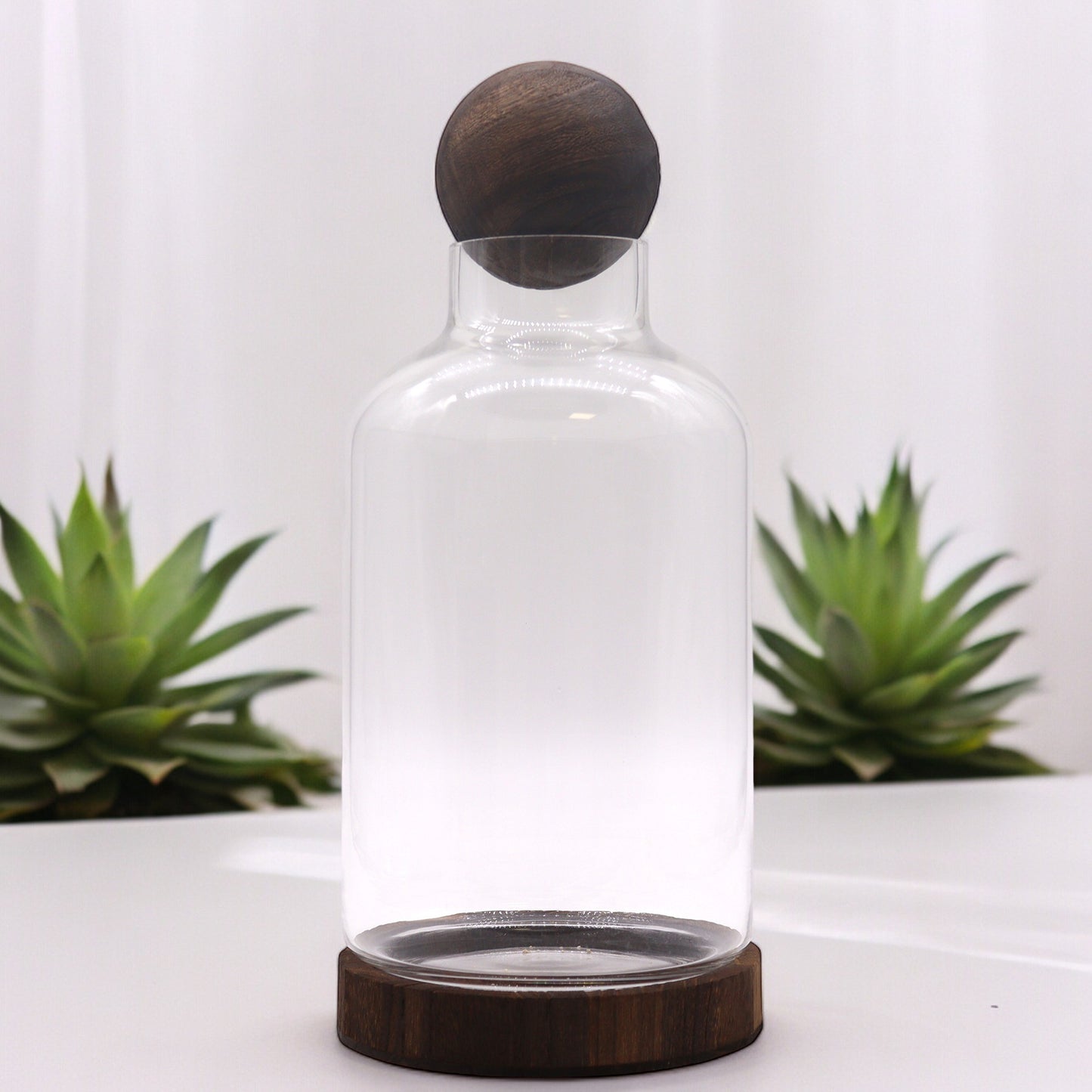 Large Ball Top Terarium on Dark Tung Wood - 16x32cm