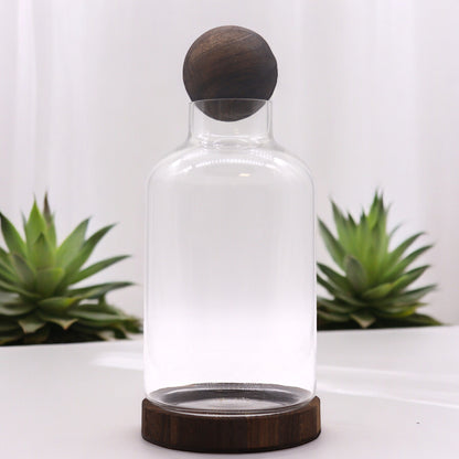 Large Ball Top Terarium on Dark Tung Wood - 16x32cm