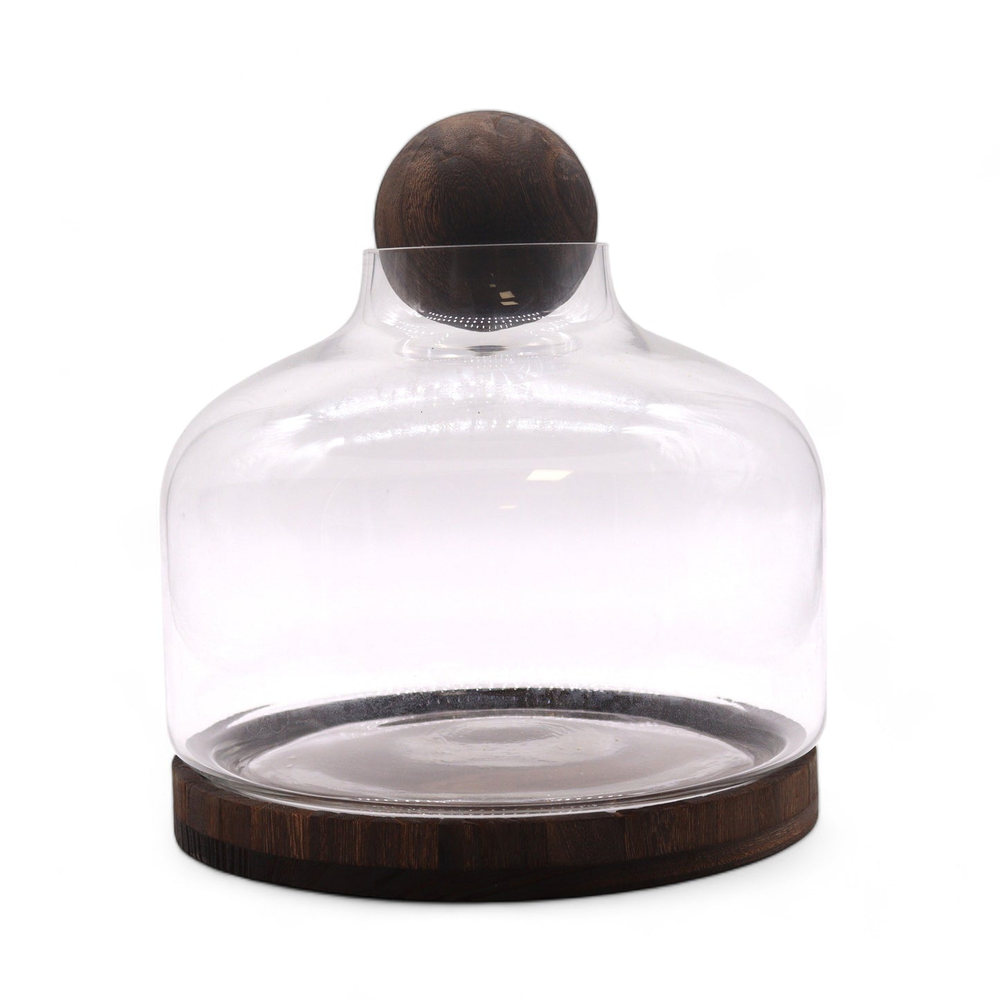 Ex-Large Ball Top Terarium on Dark Tung Wood - 23x23cm