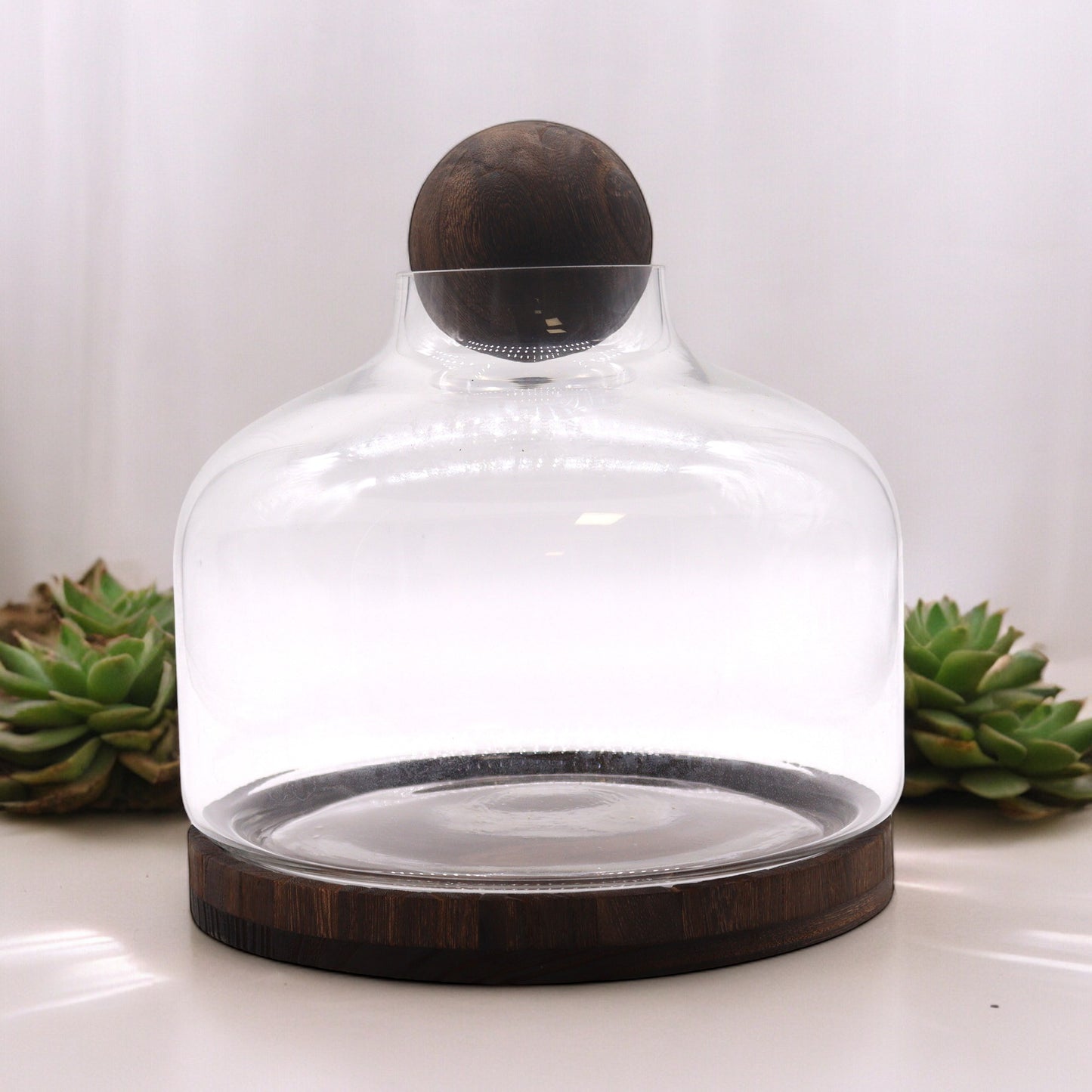 Ex-Large Ball Top Terarium on Dark Tung Wood - 23x23cm