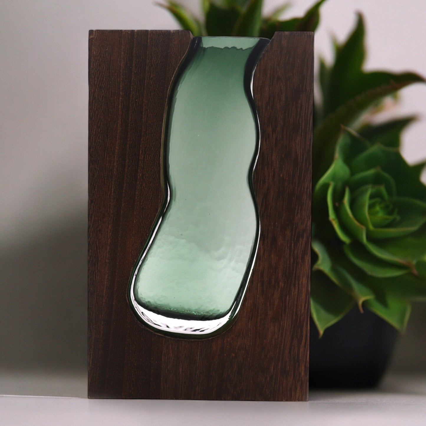 Glass Vase / Terarium inside Dark Tung Wood - 14.5x5x23cm