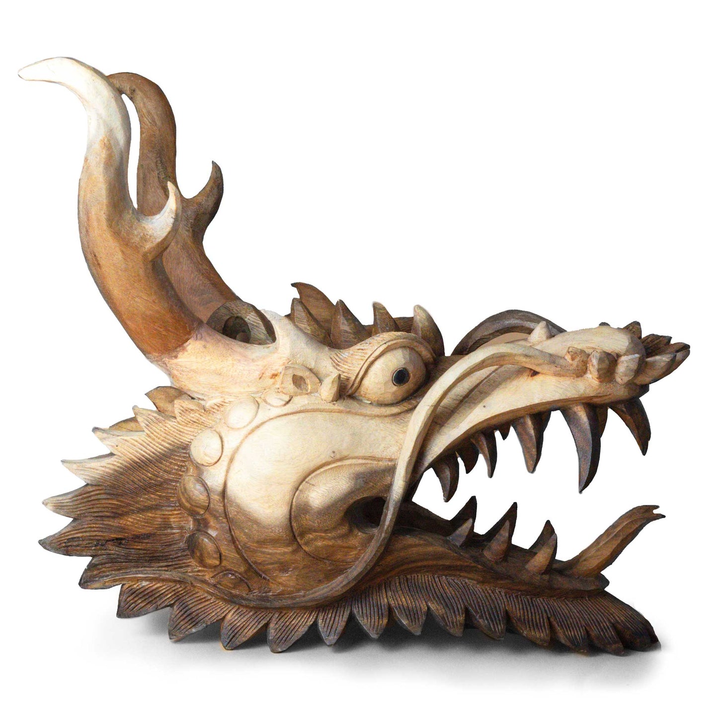 Live Size Dragon Head Carving  - 30cm