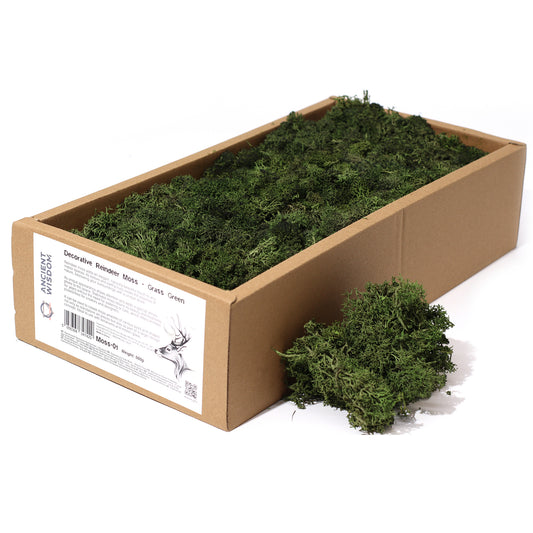 Quality Decoration Reindeer Moss - Grass Green - 635g Box