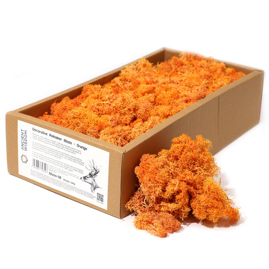 Quality Decoration Reindeer Moss - Orange - 635g Box