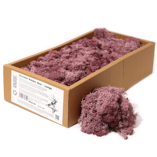 Quality Decoration Reindeer Moss - Lavender - 635g Box