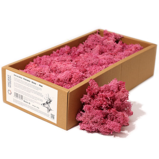 Quality Decoration Reindeer Moss - Pink - 635g Box