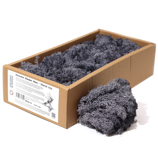 Quality Decoration Reindeer Moss - Charcol Grey - 635g Box