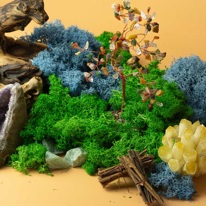Quality Decoration Reindeer Moss - Black -  635g Box