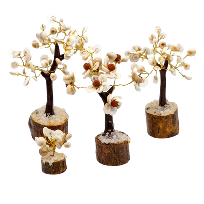Gomati Chakra Circle Stone Trees - Set of 4
