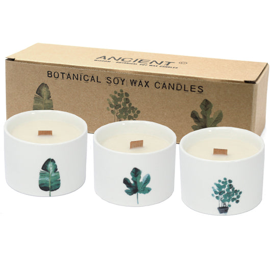 Botanical Woodwick Candles - Mullberry Harvest (3 Pack)