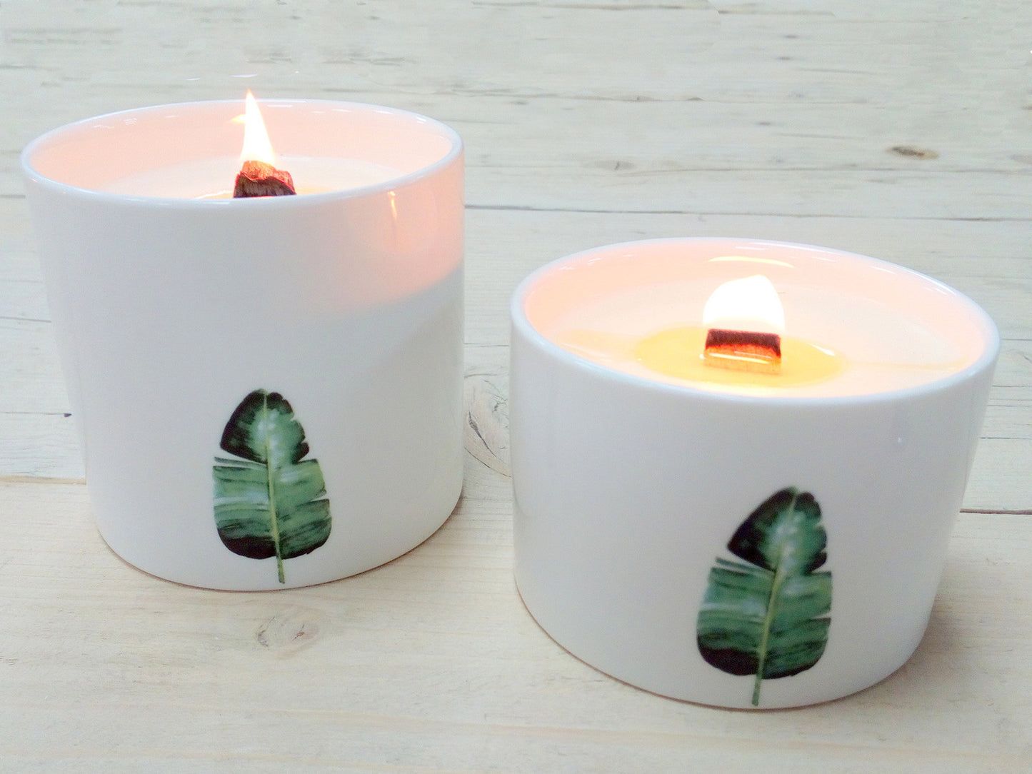 Large Botanical Woodwick Candles - Wild Jasmine (3 Pack)