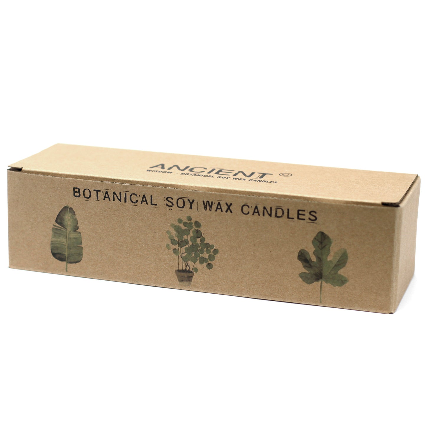 Botanical Woodwick Candles - Lemon Honeysuckle (3 Pack)