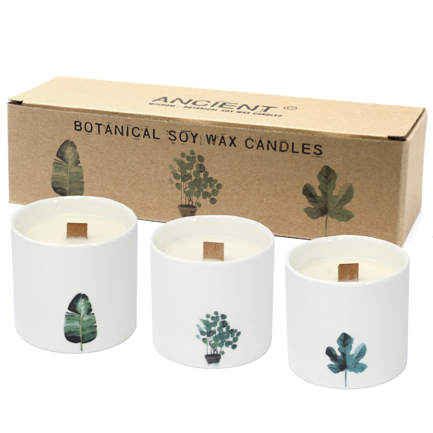 Large Botanical Woodwick Candles - Marsh Violet (3 Pack)