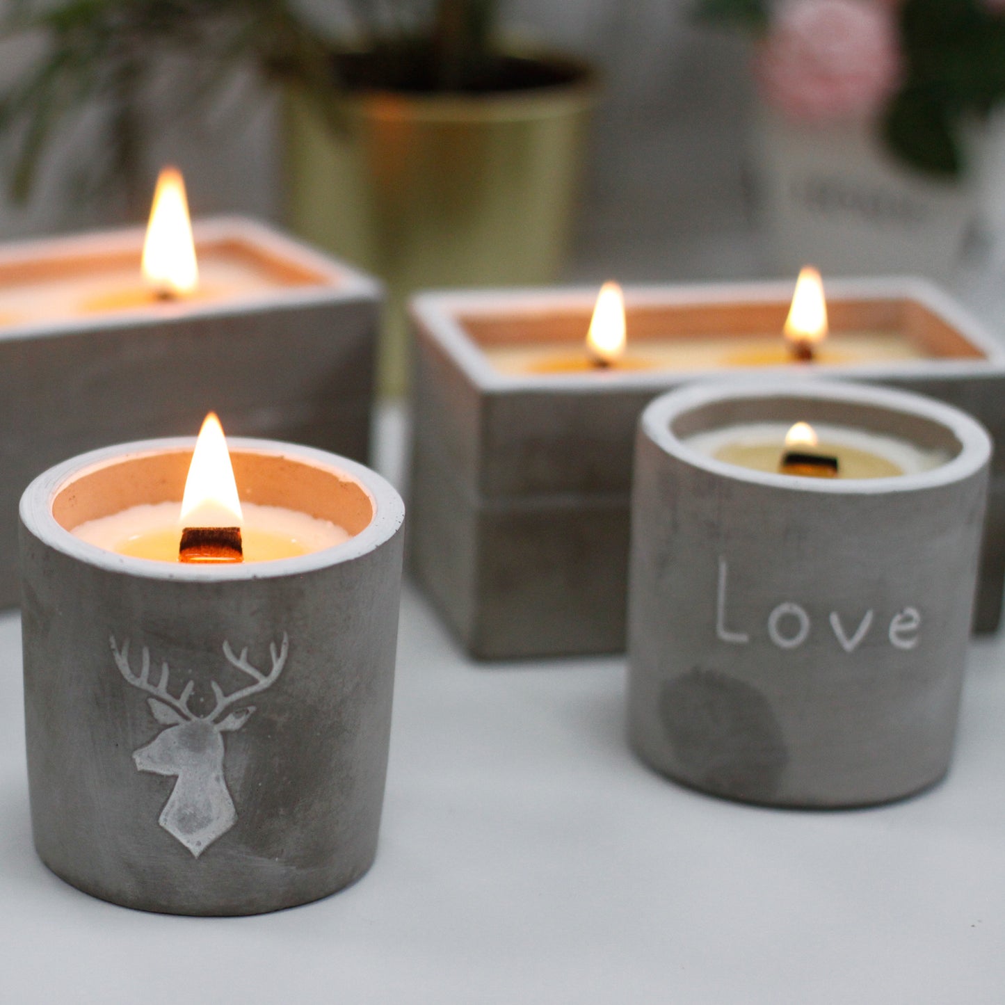 Medium Concrete Soy Woodwick Candle - Stag Head - Whiskey & Woodsmoke